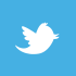 twitter-icon